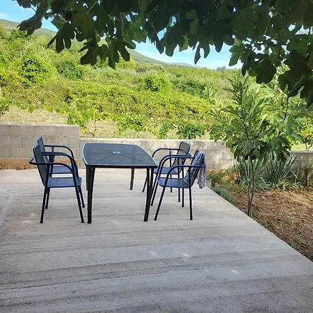 Vrulja *